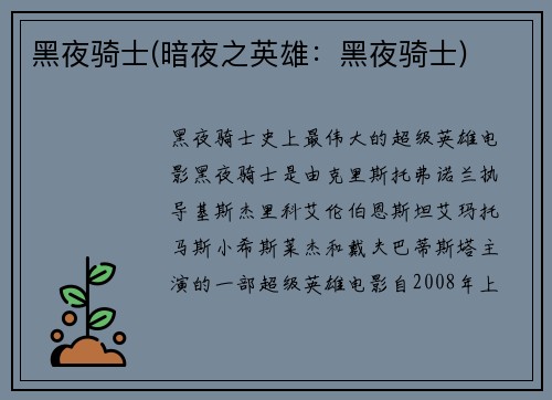 黑夜骑士(暗夜之英雄：黑夜骑士)